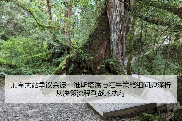 加拿大站争议余波：维斯塔潘与红牛策略组问题深析从决策流程到战术执行