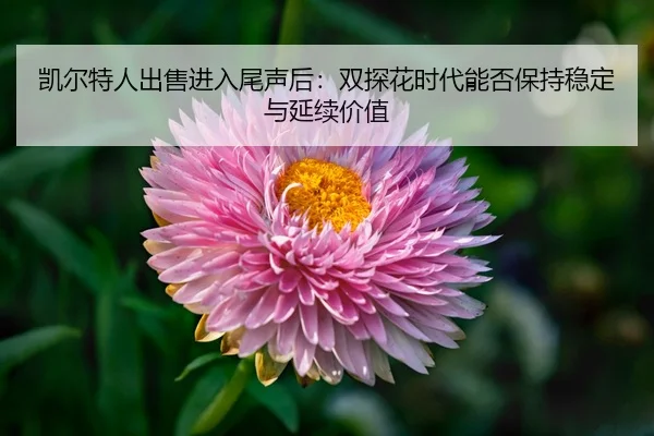 凯尔特人出售进入尾声后：双探花时代能否保持稳定与延续价值